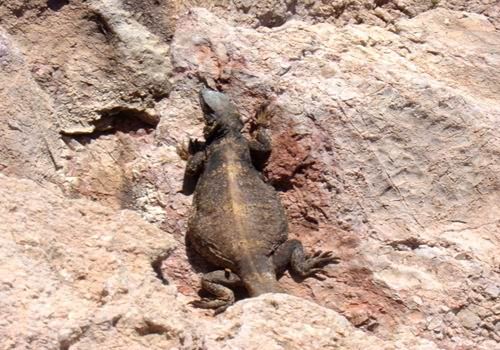 棋牌游戏官方网站- 哈希游戏试玩平台畅享娱乐2026年广州出入境护照办理流程