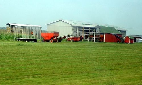 世界粮食日_人均占有粮食产量是